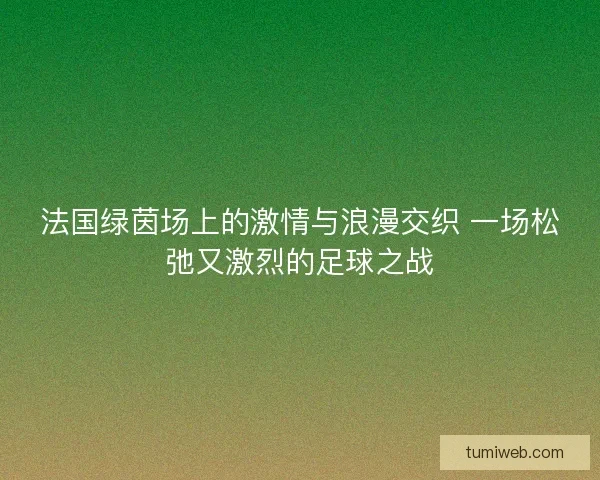 法国绿茵场上的激情与浪漫交织 一场松弛又激烈的足球之战